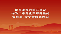 把粤港澳大湾区建设作为广东深化改革开放的大机遇、大文章抓紧做实