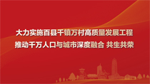 大力实施百县千镇万村高质量发展工程推动千万人口与城市深度融合共生共荣