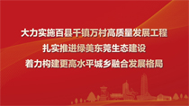 大力实施百县千镇万村高质量发展工程扎实推进绿美东莞生态建设着力构建更高水平城乡融合发展格局