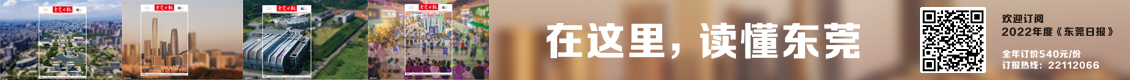 广告 广告